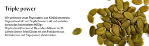 FÜR DIE PROSTATA: Phytosterol (95%) + Vitamin D3 1000 IE + Vitamin E // 50 ml