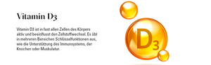 FÜR DAS IMMUNSYSTEM: Vitamin D3 Depot 10.000 IE + Vitamin K2 (Mk-7) + Vitamin E // 50 ml